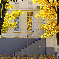 Buy canvas prints of Urban autumn scene by Vladislav Romensky