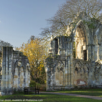 Buy canvas prints of St Mary's Abbey York by John Potter