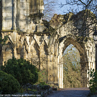 Buy canvas prints of St Mary's Abbey Museum gardens York by John Potter