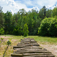 Buy canvas prints of Pile of wooden logs in the sun by Paweł Radomski