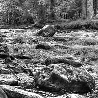 Buy canvas prints of Black and white, HDR photo of mountain river by Paweł Radomski