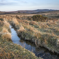 Buy canvas prints of Little stream on Dartmoor by Kevin White