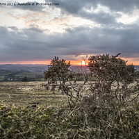 Buy canvas prints of Sunset on the moors  by Kevin White