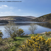 Buy canvas prints of View from  Meldon reservoir dam by Kevin White