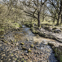 Buy canvas prints of Rocky stream at  Burrator reservoir by Kevin White