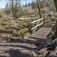 Buy canvas prints of Small wooden bridge at Burrator reservoir by Kevin White