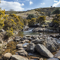 Buy canvas prints of Rich colours of Dartmoor by Kevin White