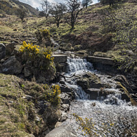 Buy canvas prints of Small waterfall near Meldon reservoir by Kevin White