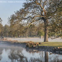 Buy canvas prints of Bushy Park first thing by Kevin White