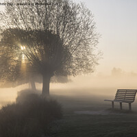 Buy canvas prints of Bench beside misty lake by Kevin White
