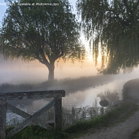 Buy canvas prints of Sunrise by the stream by Kevin White
