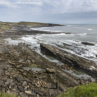 Buy canvas prints of Howick coastline in Northumberland by Kevin White