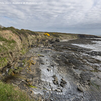 Buy canvas prints of Northumberland rugged coastline by Kevin White