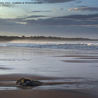 Buy canvas prints of Embleton sandy beach at sunset by Kevin White