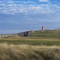 Buy canvas prints of Dunstanburgh Castle from across golf course by Kevin White