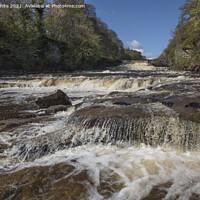 Buy canvas prints of Spectacular Aysgarth Falls by Kevin White