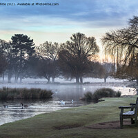 Buy canvas prints of Cold day in Surrey by Kevin White