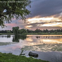Buy canvas prints of Reflections at Bushy park ponds by Kevin White