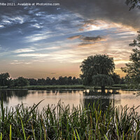 Buy canvas prints of August sunset at Bushy Park by Kevin White