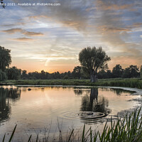 Buy canvas prints of Serene sunsetting over Bushy Park by Kevin White
