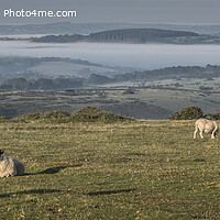 Buy canvas prints of Sunrise on Dartmoor looking towards Tavistock by Kevin White