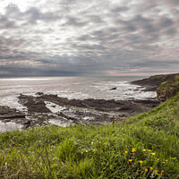 Buy canvas prints of Howick dramatic coastline by Kevin White