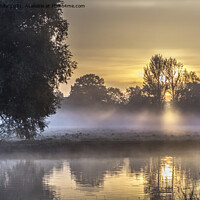 Buy canvas prints of October misty sunrise at Bushy Park by Kevin White