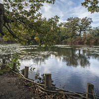 Buy canvas prints of Sheepwash Pond in autumn by Kevin White
