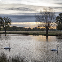 Buy canvas prints of Surrey open spaces by Kevin White
