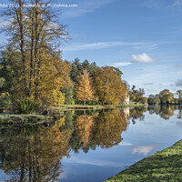 Buy canvas prints of November colours at Painshill Park by Kevin White