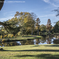 Buy canvas prints of Winter sun at Painshill by Kevin White