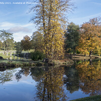 Buy canvas prints of Painshill autumn walk by Kevin White