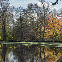 Buy canvas prints of Autumn colours beside lake by Kevin White