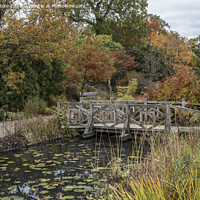 Buy canvas prints of wooden bridge Wisley by Kevin White