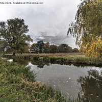 Buy canvas prints of rain clouds gathering over Bushy Park by Kevin White