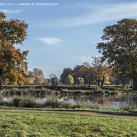 Buy canvas prints of November colour Bushy Park by Kevin White