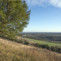 Buy canvas prints of Box Hill late November walk by Kevin White