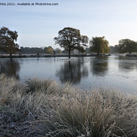 Buy canvas prints of Bright frosty morning by Kevin White