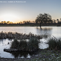Buy canvas prints of January sunrise at Bushy Park by Kevin White