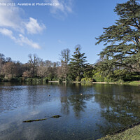 Buy canvas prints of Winter sunshine at Claremont gardens and lake by Kevin White