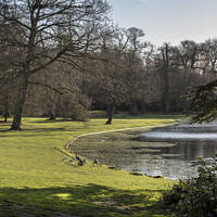 Buy canvas prints of Birds and lake at Claremont Gardens Esher by Kevin White