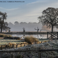 Buy canvas prints of January frost sun and mist by Kevin White