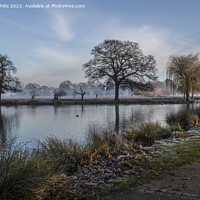 Buy canvas prints of Cold January mornings in Surrey by Kevin White