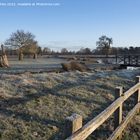 Buy canvas prints of Small bridge frost and sunshine by Kevin White