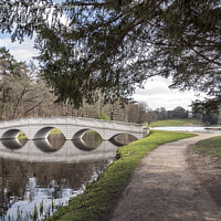 Buy canvas prints of Walk through Painshill Park by Kevin White