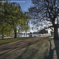 Buy canvas prints of Long shadows in April by Kevin White