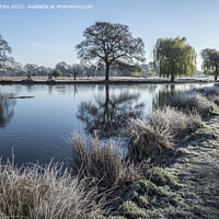 Buy canvas prints of Bright sunny frosty morning by Kevin White