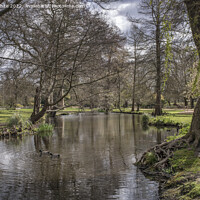 Buy canvas prints of Stream and garden by Kevin White