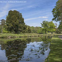 Buy canvas prints of Painshill Cobham pond  by Kevin White