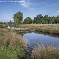 Buy canvas prints of Calm waters at Bushy Park Surrey by Kevin White